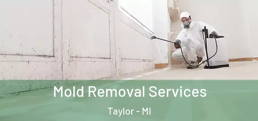  Mold Removal Services Taylor - MI
