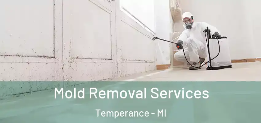  Mold Removal Services Temperance - MI