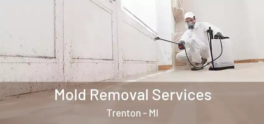  Mold Removal Services Trenton - MI