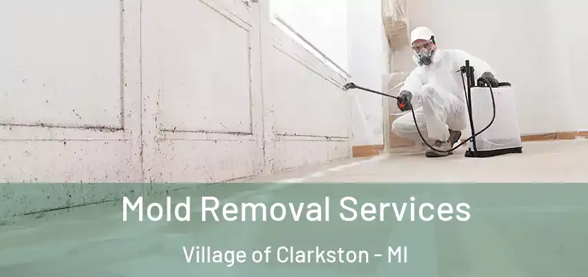  Mold Removal Services Village of Clarkston - MI