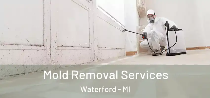  Mold Removal Services Waterford - MI