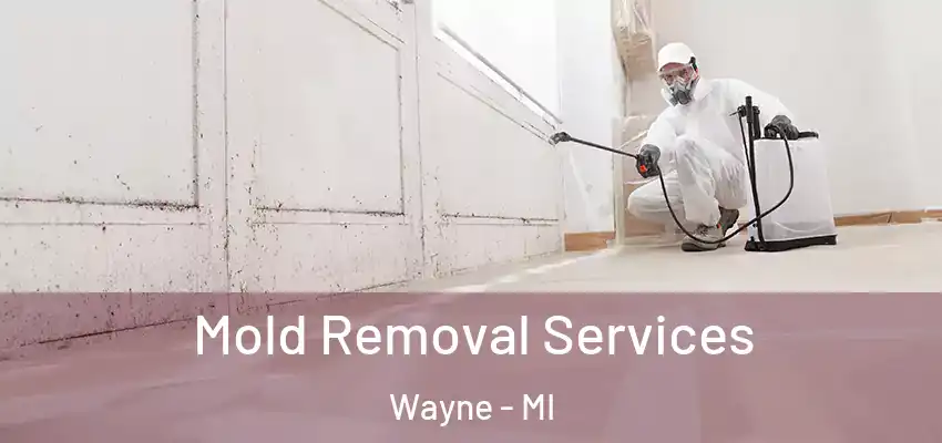 Mold Removal Services Wayne - MI