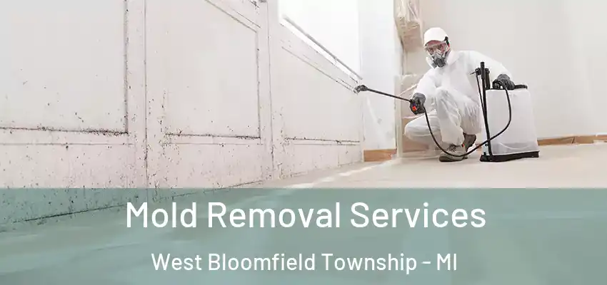  Mold Removal Services West Bloomfield Township - MI
