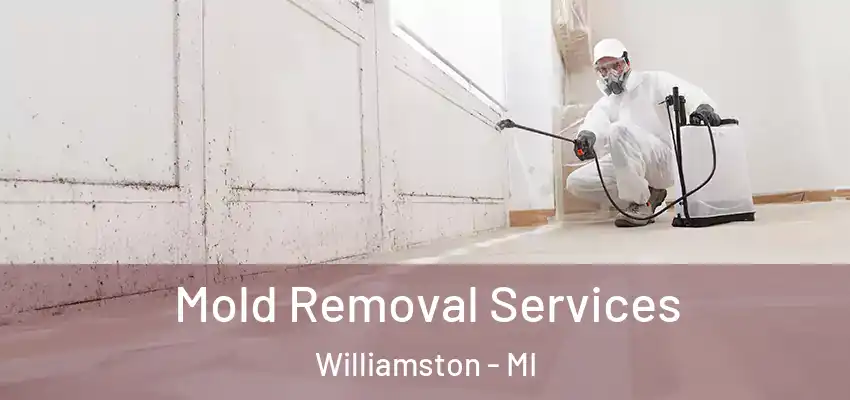  Mold Removal Services Williamston - MI