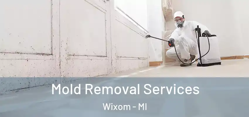  Mold Removal Services Wixom - MI