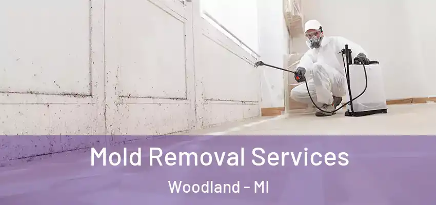  Mold Removal Services Woodland - MI