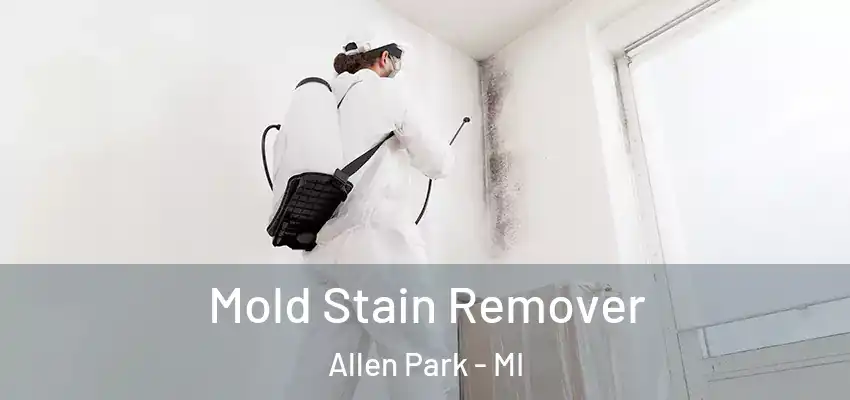 Mold Stain Remover Allen Park - MI