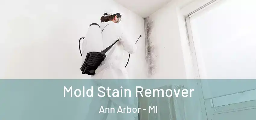  Mold Stain Remover Ann Arbor - MI