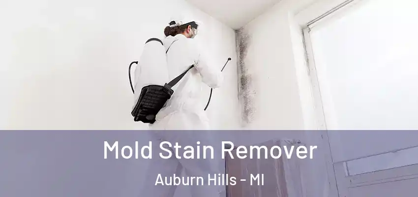  Mold Stain Remover Auburn Hills - MI