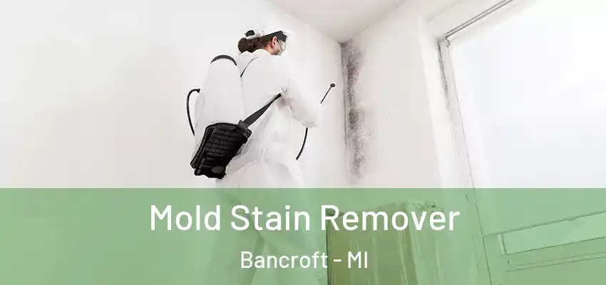  Mold Stain Remover Bancroft - MI