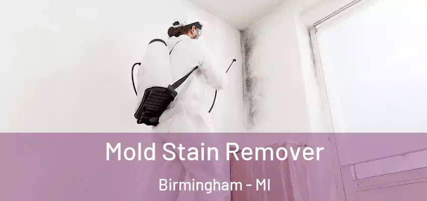  Mold Stain Remover Birmingham - MI