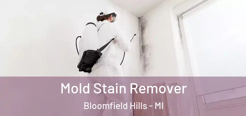  Mold Stain Remover Bloomfield Hills - MI