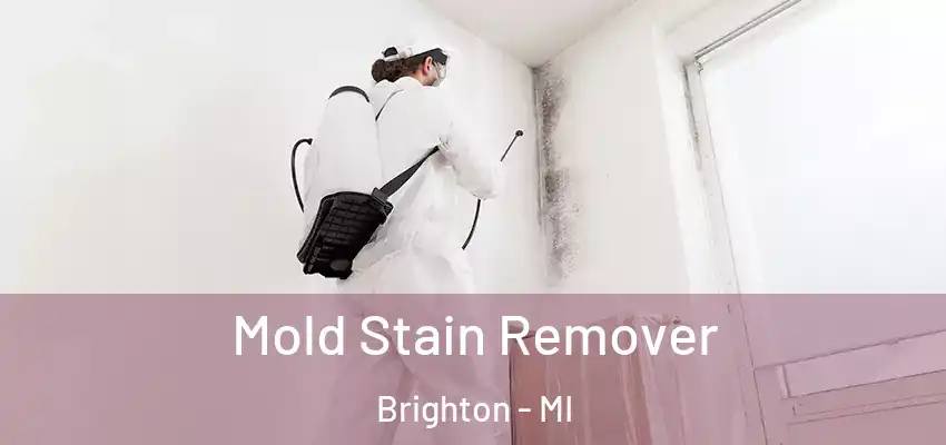  Mold Stain Remover Brighton - MI
