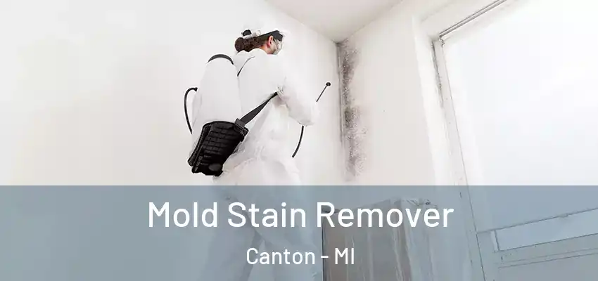  Mold Stain Remover Canton - MI