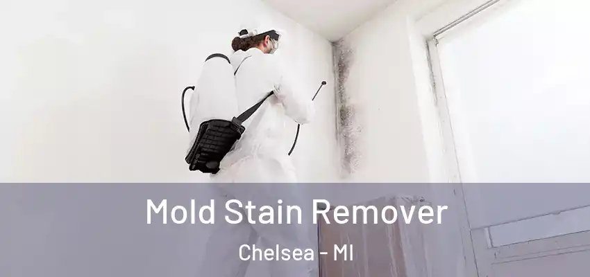  Mold Stain Remover Chelsea - MI