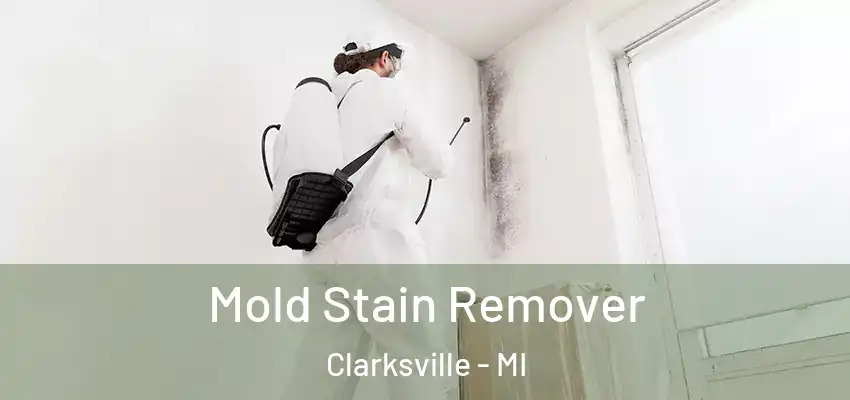  Mold Stain Remover Clarksville - MI