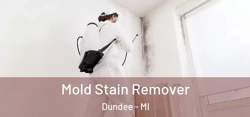 Mold Stain Remover Dundee - MI