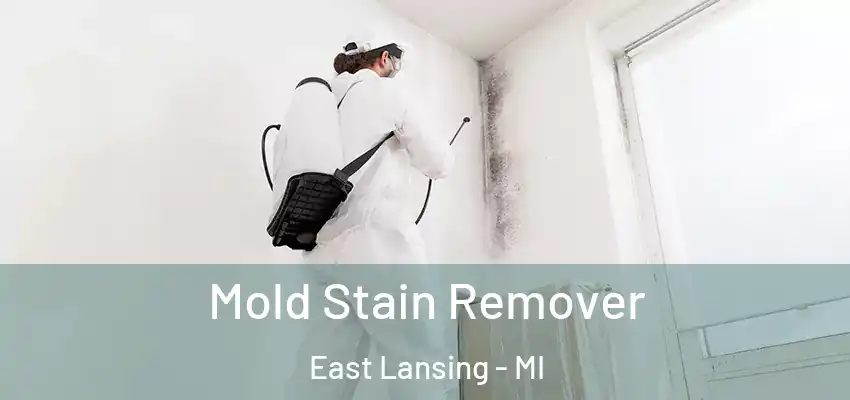 Mold Stain Remover East Lansing - MI