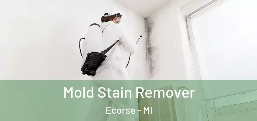  Mold Stain Remover Ecorse - MI