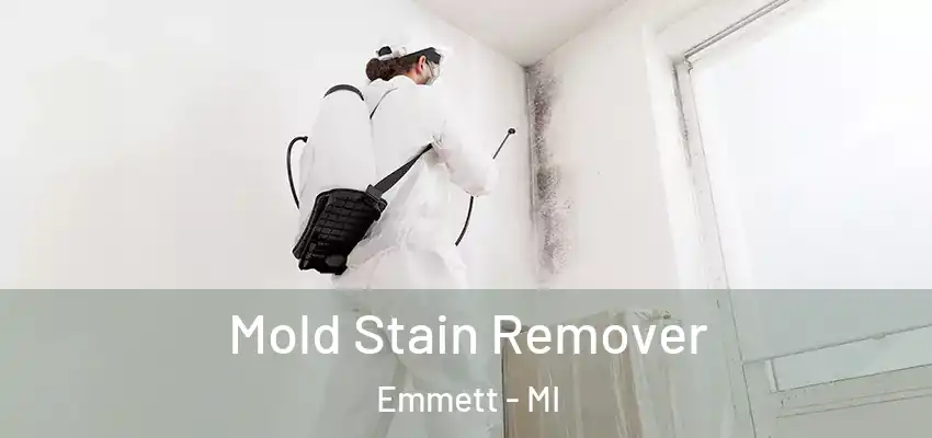  Mold Stain Remover Emmett - MI