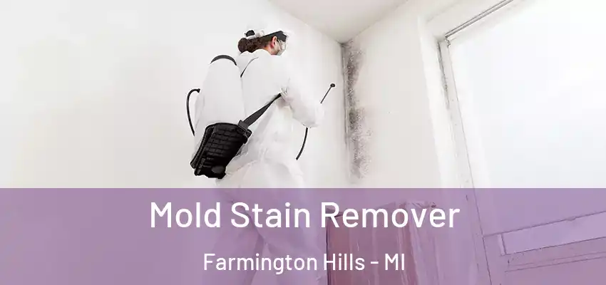  Mold Stain Remover Farmington Hills - MI