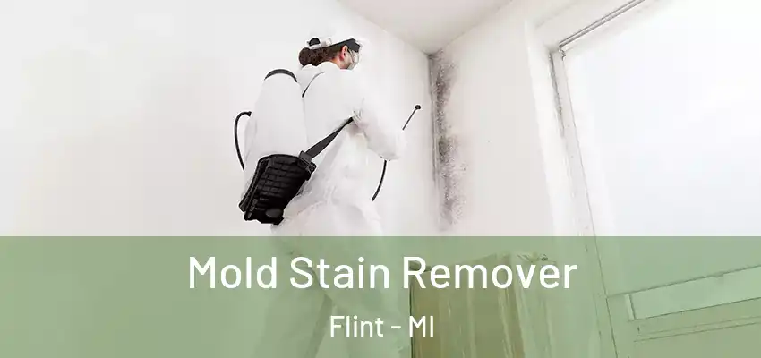  Mold Stain Remover Flint - MI