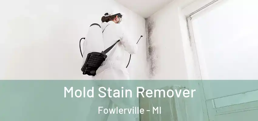  Mold Stain Remover Fowlerville - MI