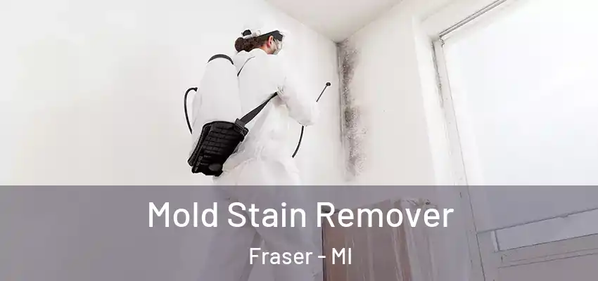  Mold Stain Remover Fraser - MI