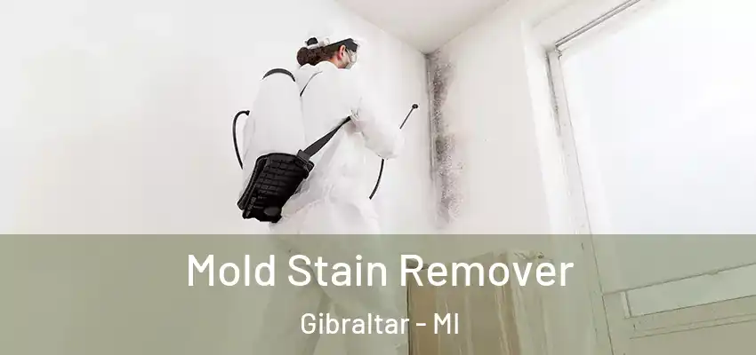  Mold Stain Remover Gibraltar - MI