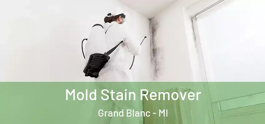 Mold Stain Remover Grand Blanc - MI