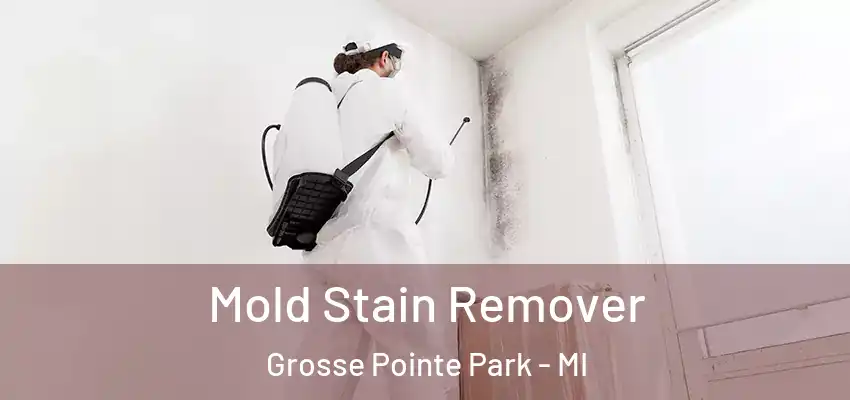  Mold Stain Remover Grosse Pointe Park - MI