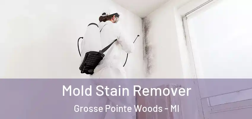  Mold Stain Remover Grosse Pointe Woods - MI