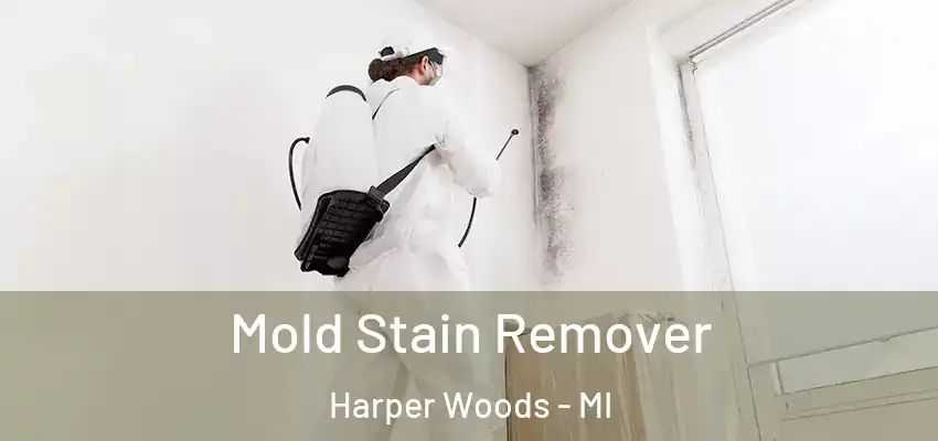  Mold Stain Remover Harper Woods - MI