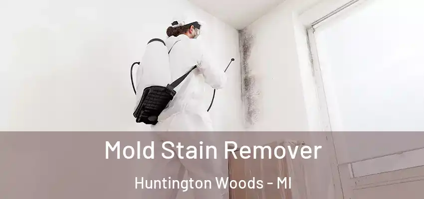 Mold Stain Remover Huntington Woods - MI