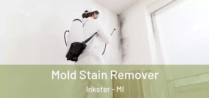  Mold Stain Remover Inkster - MI