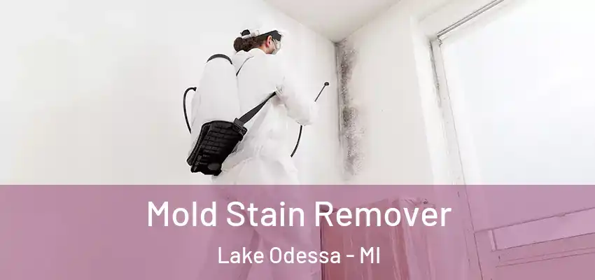  Mold Stain Remover Lake Odessa - MI