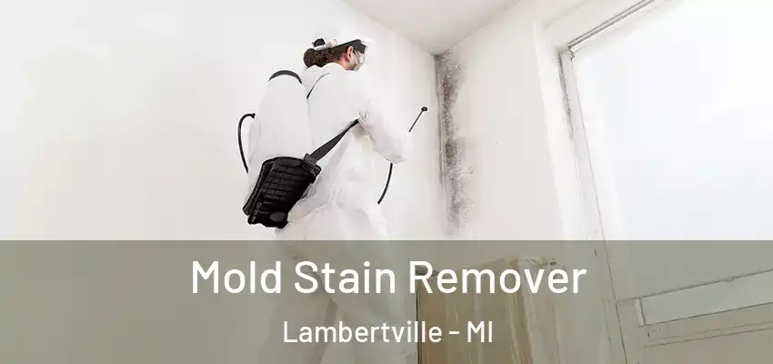  Mold Stain Remover Lambertville - MI
