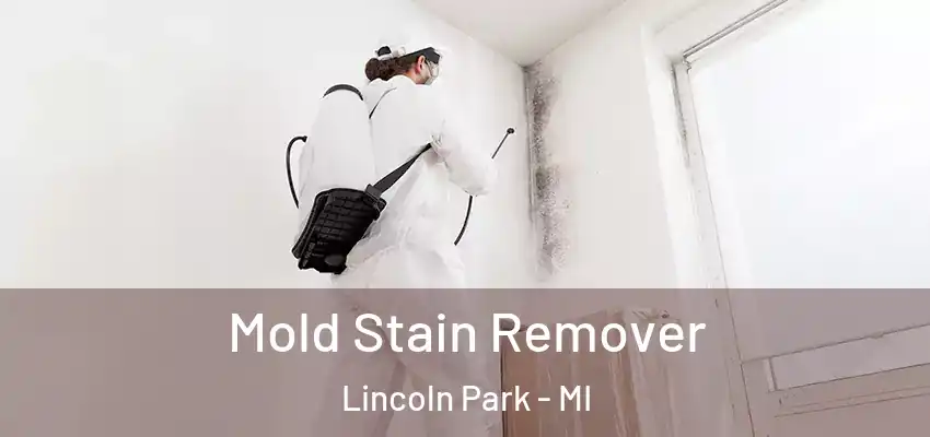  Mold Stain Remover Lincoln Park - MI