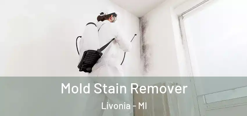  Mold Stain Remover Livonia - MI