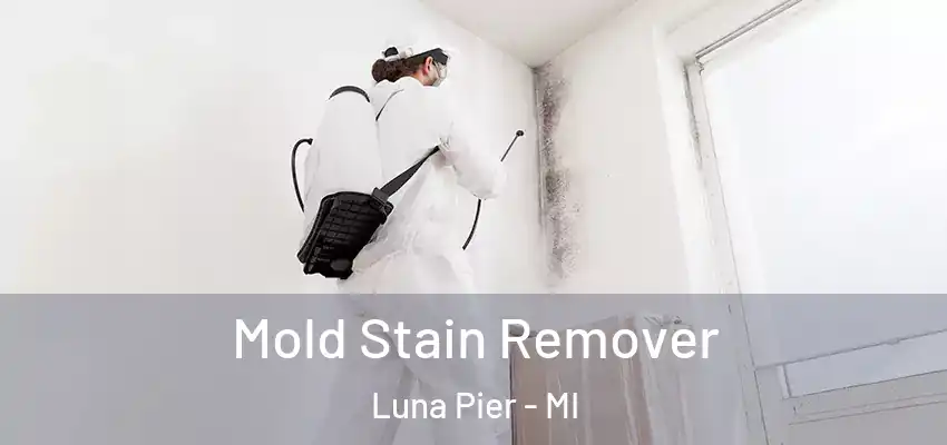  Mold Stain Remover Luna Pier - MI
