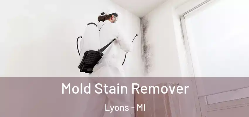  Mold Stain Remover Lyons - MI
