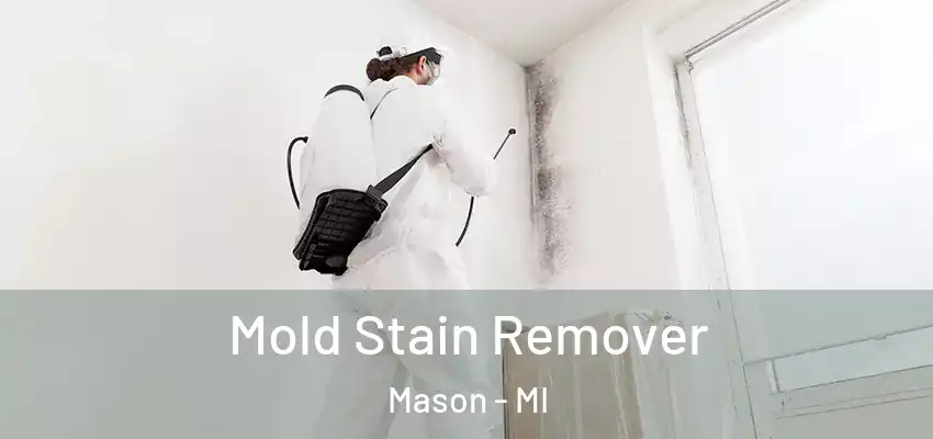  Mold Stain Remover Mason - MI