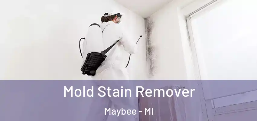  Mold Stain Remover Maybee - MI