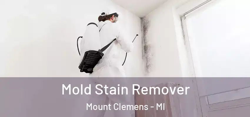  Mold Stain Remover Mount Clemens - MI