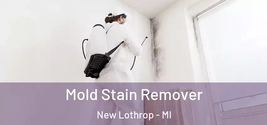  Mold Stain Remover New Lothrop - MI