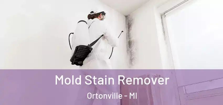  Mold Stain Remover Ortonville - MI