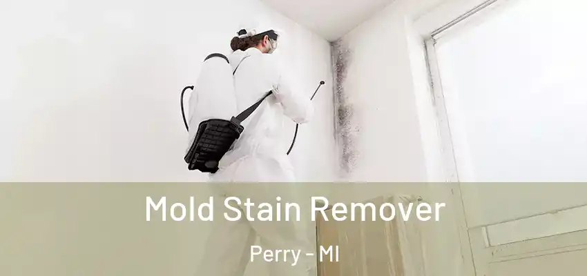  Mold Stain Remover Perry - MI