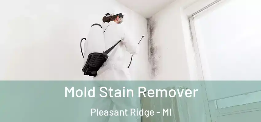 Mold Stain Remover Pleasant Ridge - MI