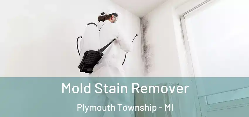  Mold Stain Remover Plymouth Township - MI