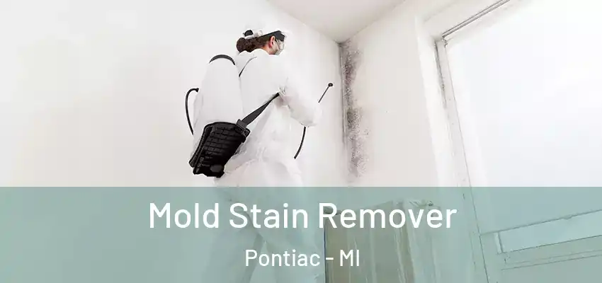  Mold Stain Remover Pontiac - MI